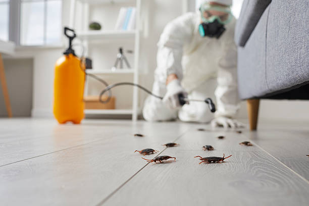 Commercial Kitchen Cockroach Control in Bourbon